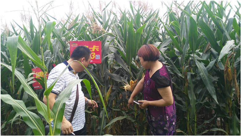 E:\L工作\新闻\原稿\7.16\豫东-新闻7.14\initpintu_副本.jpg E:\L工作\新闻\原稿\7.16\豫东-新闻7.14\initpintu_副本.jpg