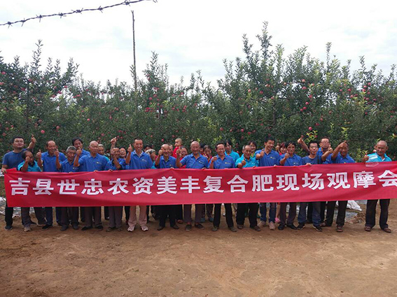 图二.jpg