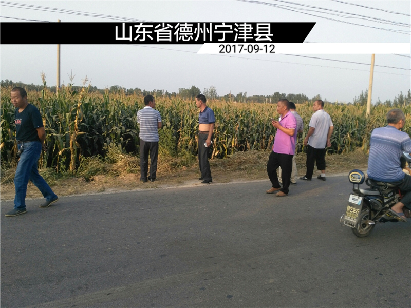 图7.jpg